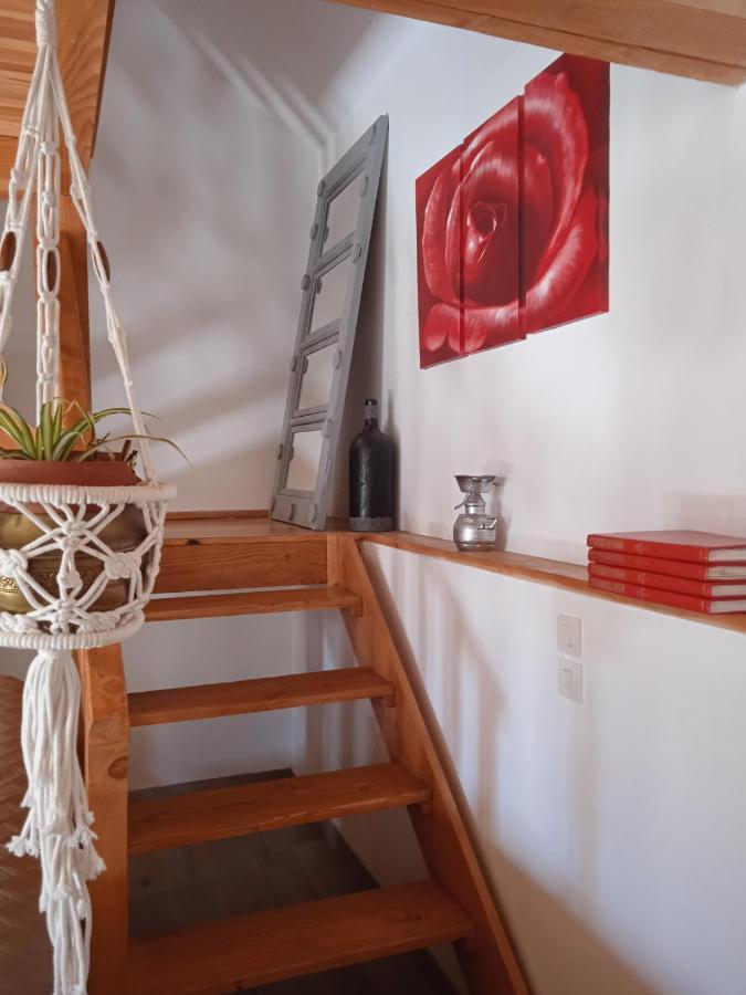 ברגרק Charmante Petite Maison מראה חיצוני תמונה